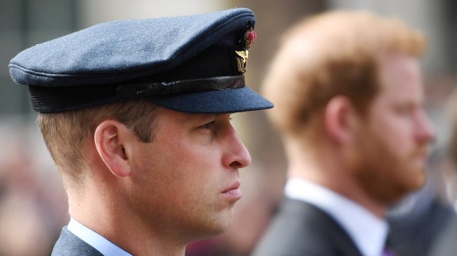 Защо принцовете Хари и Уилям няма да наследят дома, в който е израснала принцеса Даяна