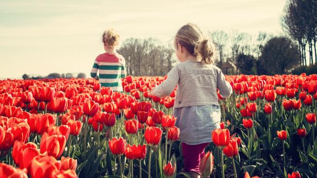 Хороскопът ви за 13 април