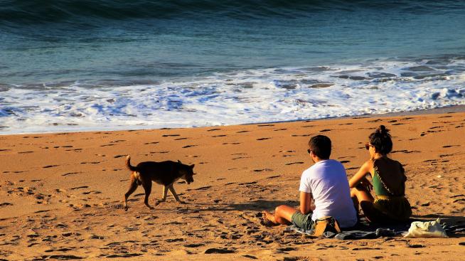 Хороскопът ви за 4 август