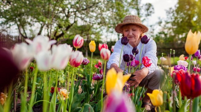 Хороскопът ви за 22 април