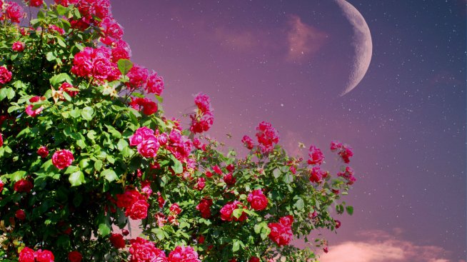 Всичко за новолунието през юли и какво означава то за вашия зодиакален знак