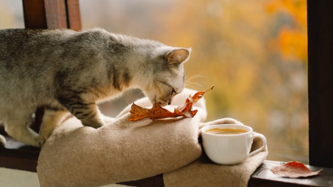 Хороскопът ви за 11 ноември