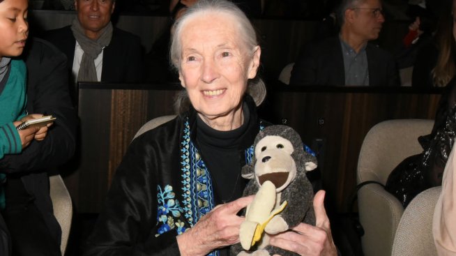 Джейн Гудол – неуморимият защитник на природата – почина на 91 години