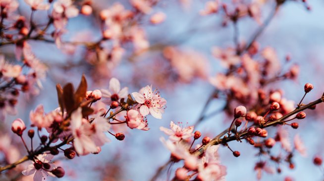 Хороскопът ви за 2 май