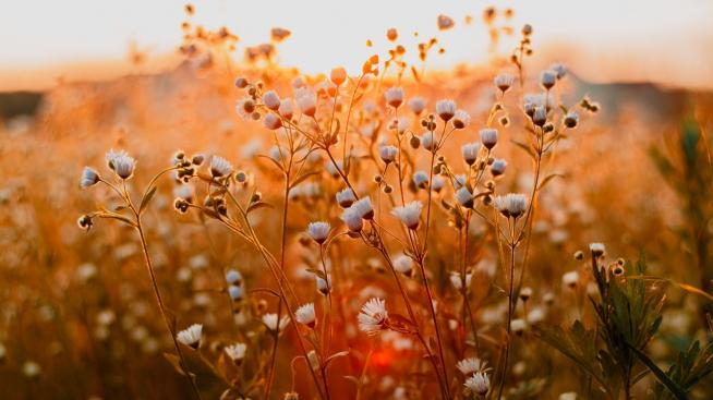 Хороскопът ви за 2 март