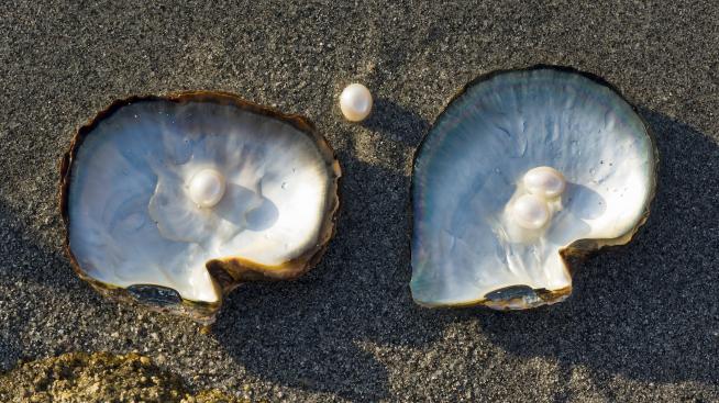 Мидени черупки – като вдъхновение за маникюр