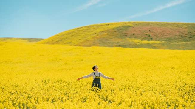 Хороскопът ви за 22 май
