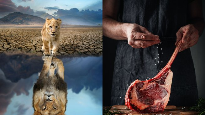 Отслабване през 2023: Трябва ли да следвате лъвската диета?