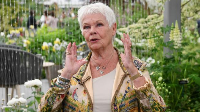 Джуди Денч се запали по TikTok