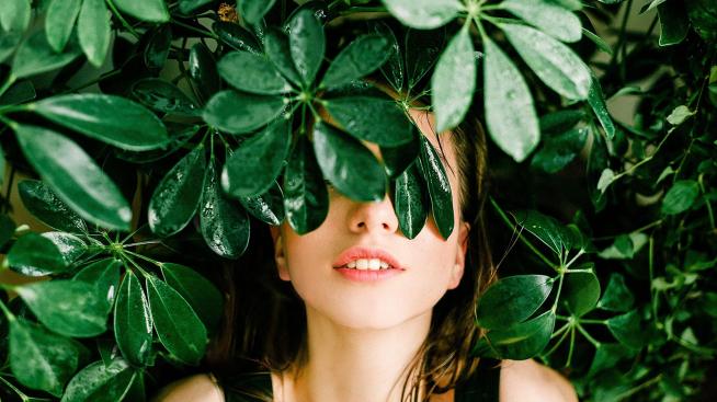 Пресаждане на цветята за пролетния сезон – какво да направите?