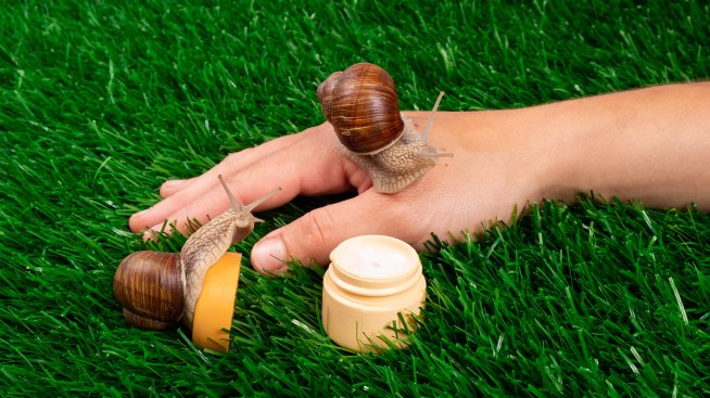 Слуз от охлюви – защо е толкова популярна в грижата за кожата?