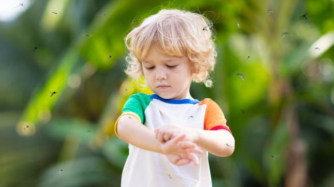 6 домашни лека срещу ухапване от комар