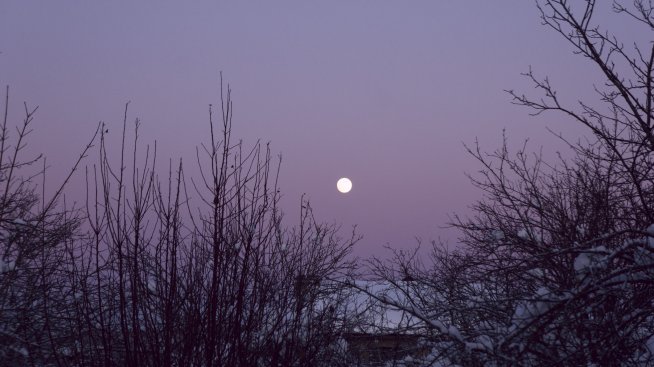 Как февруарското пълнолуние ще се отрази на вашия зодиакален знак
