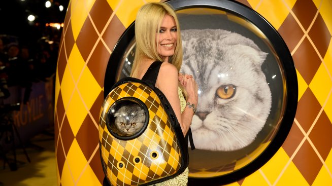 Клаудия Шифър с нетрадиционна компания на червения килим – котка в раница