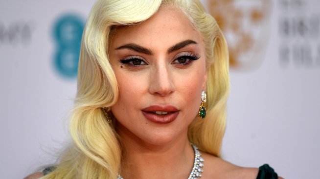 Лейди Гага с паник стая в имението си