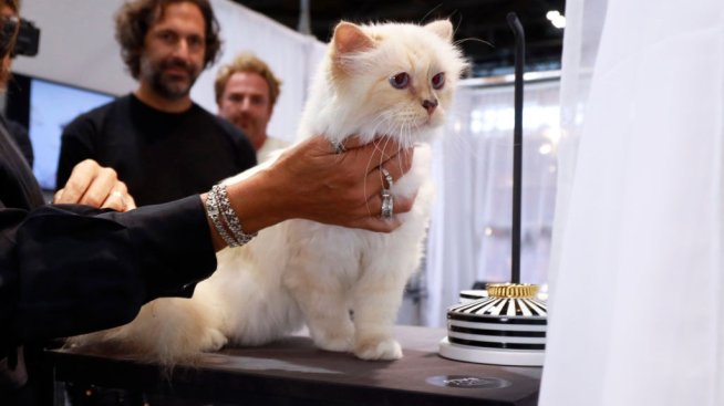 От Сен Тропе до Louis Vuitton – как котката на Карл Лагерфелд харчи милионното му наследство