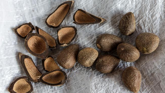 6 ползи за косата и кожата от маслото от мурумуру