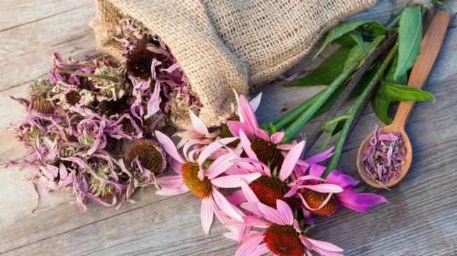 4 билки, които ще подсилят имунната ви система