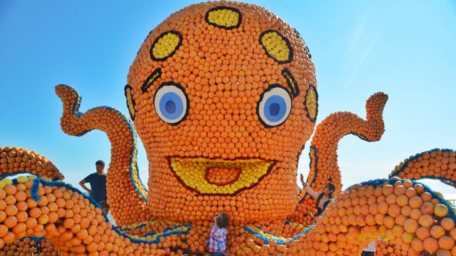 Плодов фестивал в Турция