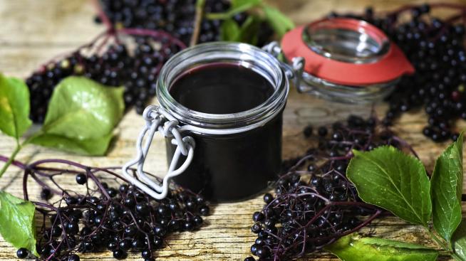 Бъз – здравословните му ползи и може ли да предотврати настинка