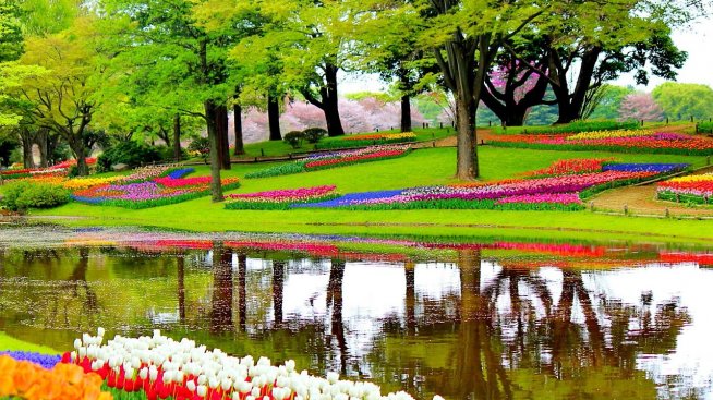 Най-добрите туристически дестинации за 2020 г.