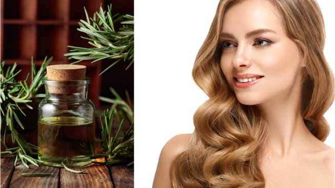 Масло от розмарин – какви са ползите му за косата? 