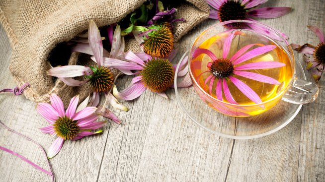 Чай от ехинацея – за по-силен имунитет