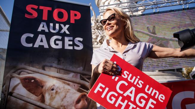 Памела Андерсън с нов вегански проект 