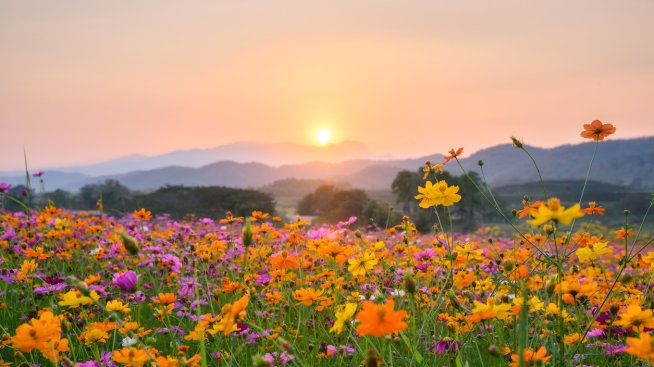 Седмичен хороскоп – какво да очаква всяка зодия