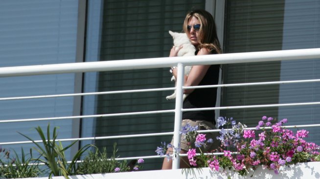 Дженифър Анистън стартира фонд за подпомагане на спасяването на животни