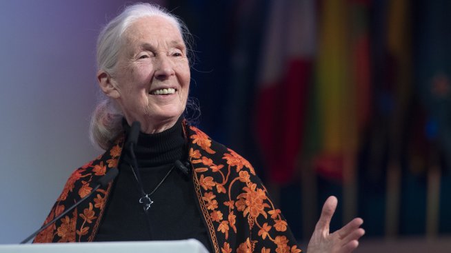 Вдъхновяващо: Кукла Барби от рециклирана пластмаса в чест на д-р Джейн Гудол