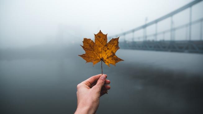 Хороскопът ви за 28 септември