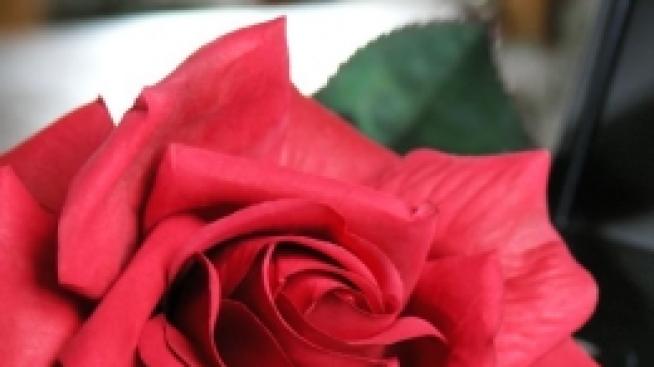 Нова работа, без стрес