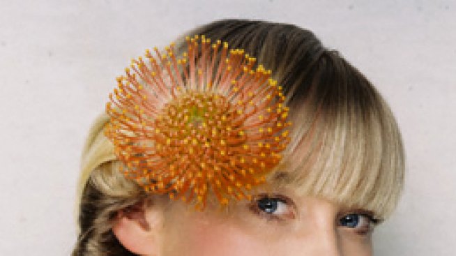 Красива коса, красива зима