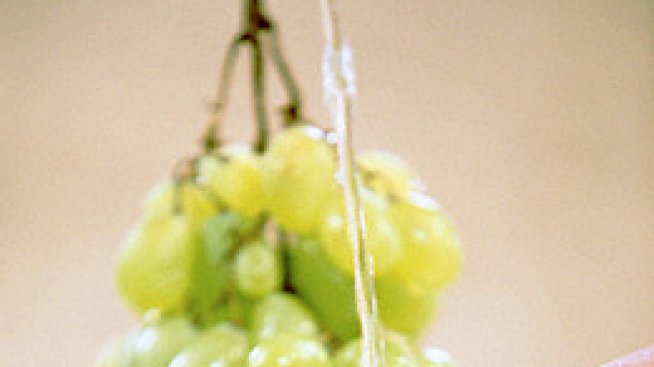 Мисли за грозде и бъди щастлив