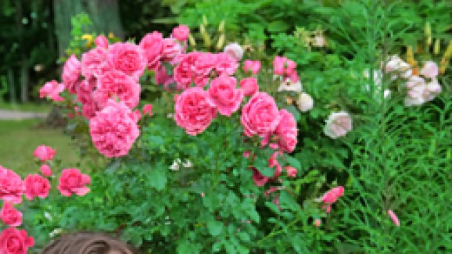 5 съвета за очарователни абитуриентки