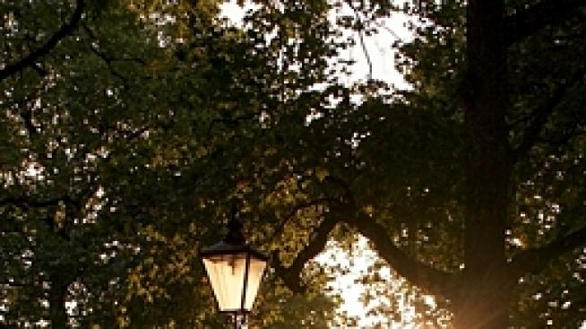 Английска магия в зелено - Хайд Парк