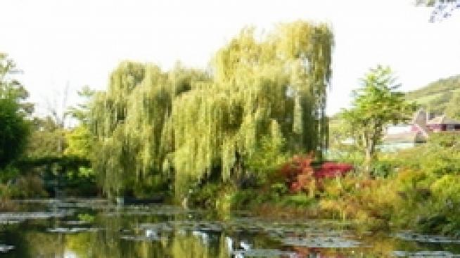 Триизмерен импресионизъм - градината на Клод Моне