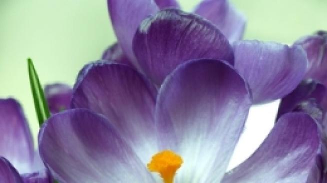 Секс. Еко-секс