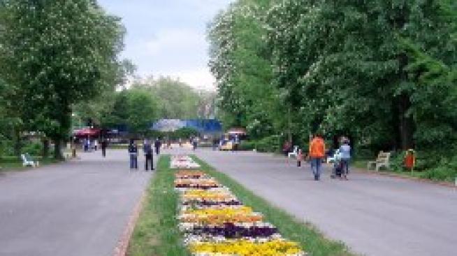 Зелен остров в средата на града