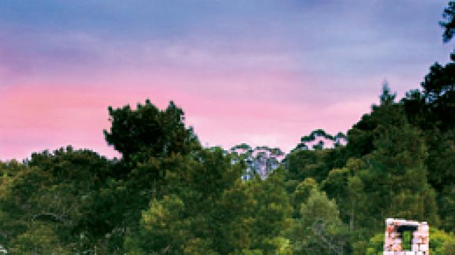 Хотел на върха на дървото