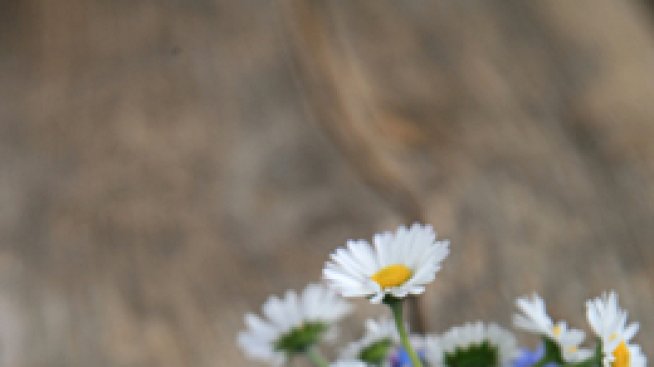 87 истини за живота – първа част