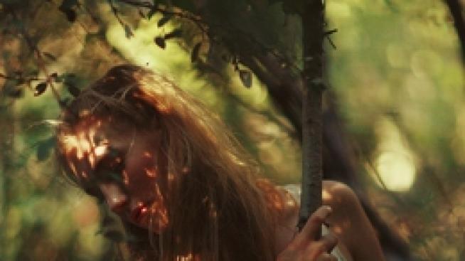 Изворът на младостта