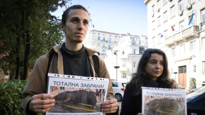 Веганите протестират срещу църквата: Спасете агънцата!