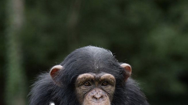 Приятелство без граници