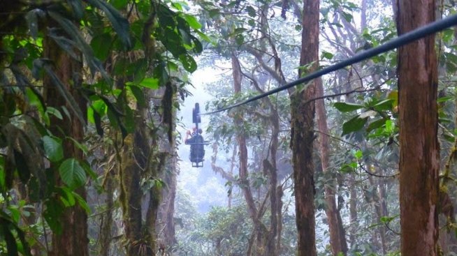 Горски приключения из джунглата на Еквадор