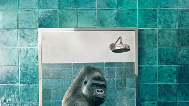 Животните от дивата природа си правят селфита