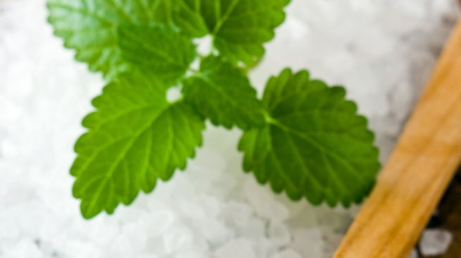 Любовта към солта се оформя първите 6 месеца