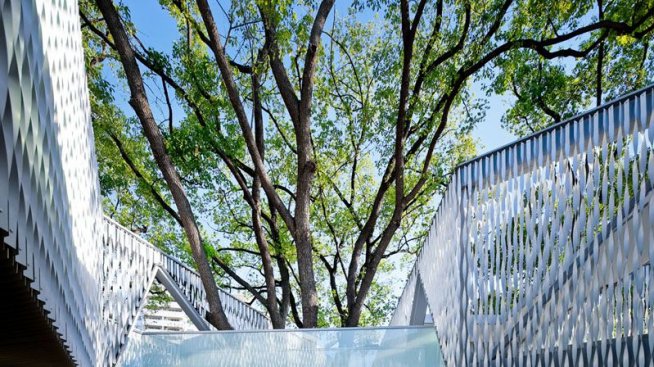 Офис сред короните на  дърветата