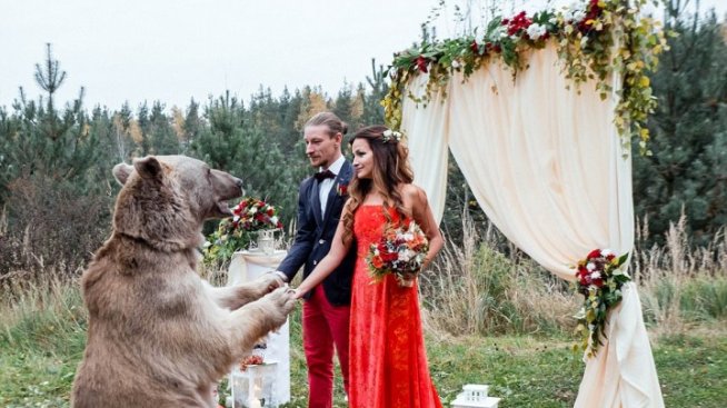 Едър мечок ожени руска двойка